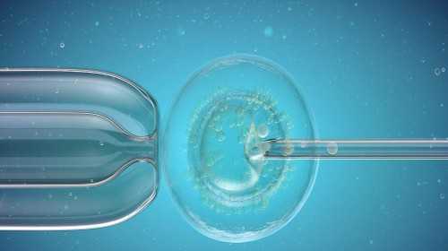 广州可以做代孕医院|三代试管取几个卵子合适？促排期间怎么提高卵子质量？
