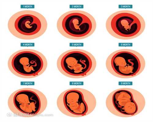 广州卵巢早衰供卵助孕_广州供卵生下孩子后的感受_孕晚期胎儿入盆什么感觉