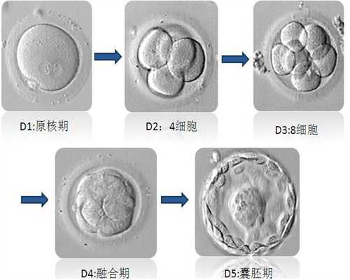 广州供卵一般要等好久_广州代生一次多少钱_该怎么治疗输卵管堵塞才能好