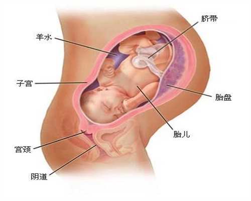 供卵试管对母体要求_广州做供卵在哪家医院可做_试管婴儿如何获得精子