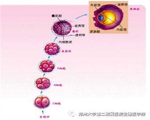 广州供卵试管包成功的医院_广州哪个医院能做供卵试管_宫外孕一般多久开始腹