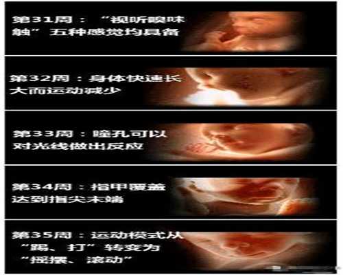 三代供卵试管_广州301医院做供卵试管_剖腹产怎么使用收腹带剖腹产第11天了感