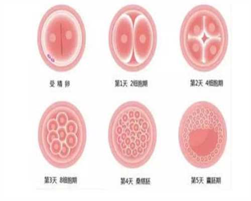 广州供卵专业强坤和助孕_子宫腺肌症供卵的成功率_2020年个人找代孕_代孕网站