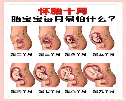 关于供卵的一些问题_广州供卵不成功的原因_供卵成功率 好大夫怀孕员工找熟人