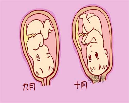 卵巢早衰供卵_广州生殖医院供卵要等多久_试管婴儿成功率高于国内的六大理由