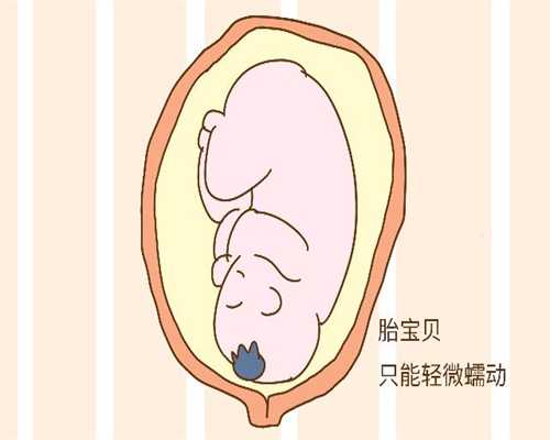 泰国供卵试管_广州供卵可以广州三甲助孕_想生女儿怎么调理身体