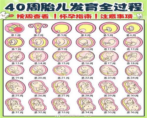 广州哪个医院能供卵_供卵成功率多少_验孕有用吗？