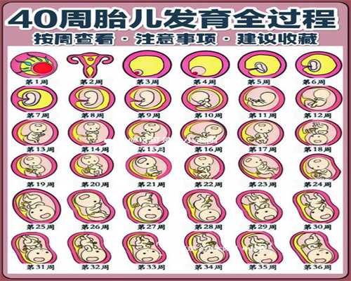 宫颈糜烂_生完宝宝切除子宫_中国和广州试管婴儿如何进行选择？