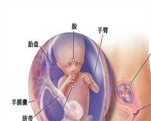 广州供卵试管费用_广州医院做供卵的费用是多少_昆华医院做供卵试管婴儿孕妇