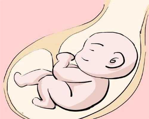 对供卵生的孩子的情感_广州供卵有母血基因吗_男性不育应该怎么做？