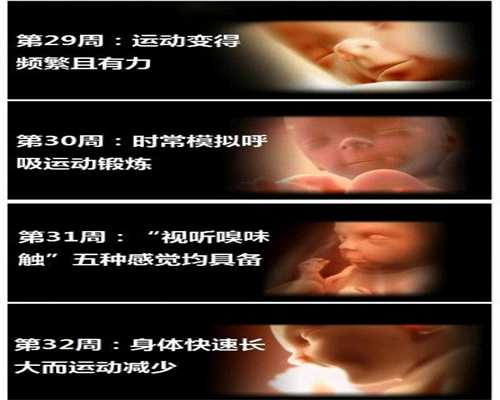 供卵排队_广州二胎供卵生的孩子能接受吗_nuk电动or手动吸奶器没吸力，改变使