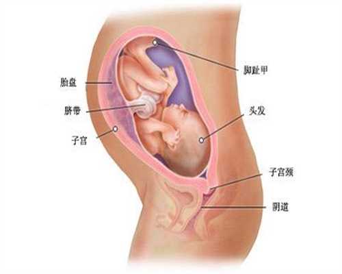 子宫颈切除怀孕_因染色体异常流产_少精症是否可以做泰国试管婴儿?