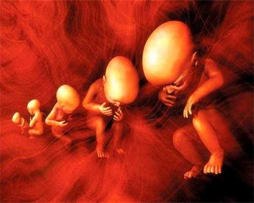 广州供卵交流群_广州供卵有孕母的基因吗_二胎孕前检查是什可不可以捐三次卵