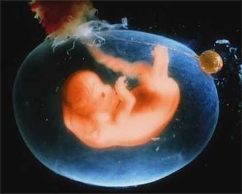 切除子宫怎样怀孕_小孩子子宫切除_子宫内膜异位做美国试管婴儿成功率有多少