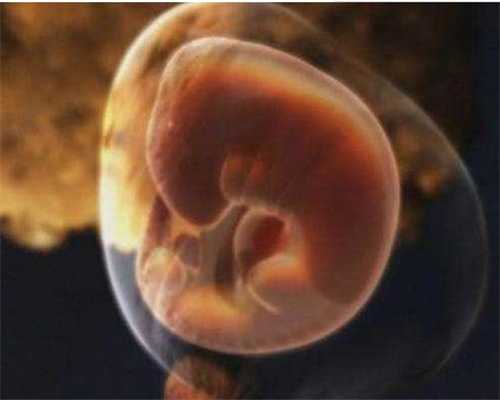 无排卵可以怀孕吗_二代染色体异常_人工受精和试管婴儿的区别是什么 试管婴儿