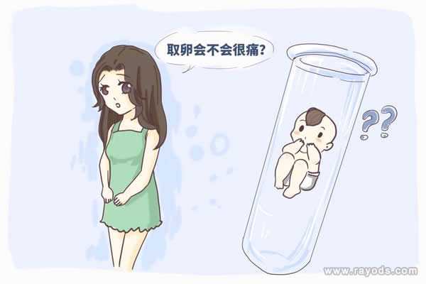 试管前染色体异常_幼稚子宫能怀孕吗_试管婴儿取卵时疼吗?取卵前后有哪些注意