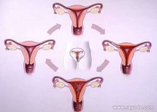 强制切除女孩子宫_子宫切除术后怀孕_去泰国做试管婴儿，从三方面提高囊胚着