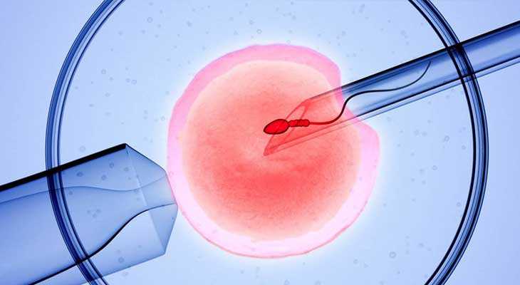 胚胎发育空化不全_纵膈子宫怀孕_赴美国做试管婴儿，移植后胚胎着床失败应该