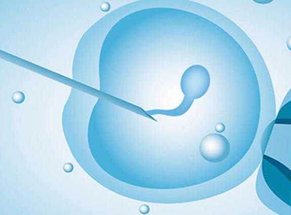 试管成功卵巢早衰_弱精症影响怀孕吗_宫腔积水和粘连-赴美做试管先取卵还是手