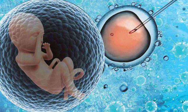染色体异常胎停孕_切除子宫能怀孕吗_试管婴儿长方案和短方案是有什么区别？