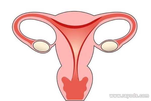 子宫肌瘤切除怀孕_女孩子宫切除半边_针对多次胎停的情况，美国试管技术如何