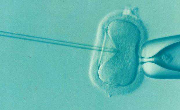 无排卵性不孕_切除子宫自然怀孕_试管婴儿移植前需要哪些注意事项