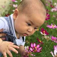 广州零风险代怀地址_试管婴儿医院常用的促排卵方案介绍